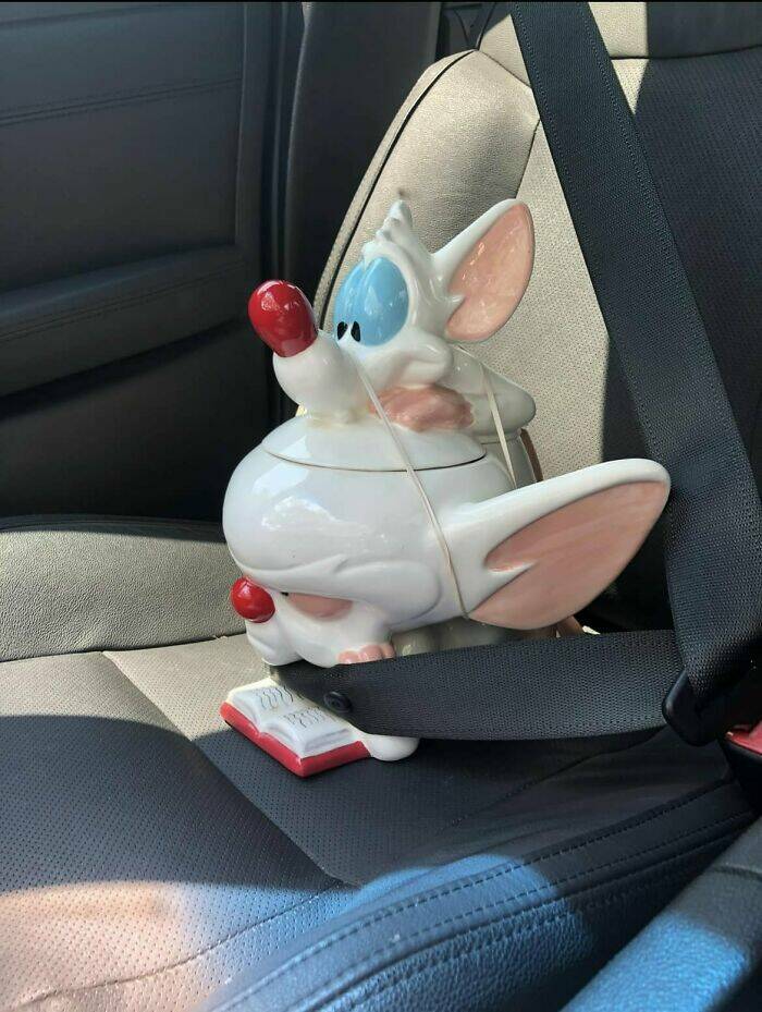 Strangely Wonderful Thrift Store Treasures