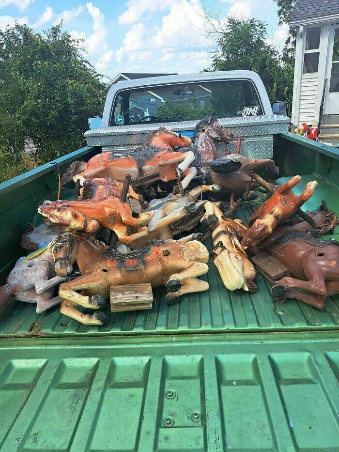 Strangely Wonderful Thrift Store Treasures