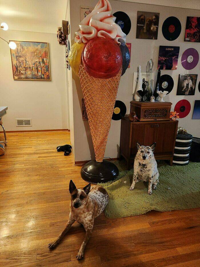 Strangely Wonderful Thrift Store Treasures