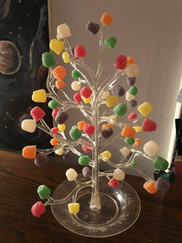 Strangely Wonderful Thrift Store Treasures