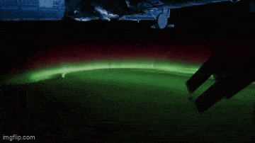 Daily Gifdump Daily Gifdump