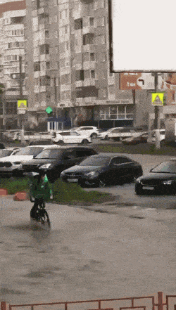 Daily Gifdump Daily Gifdump