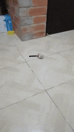 Daily Gifdump Daily Gifdump