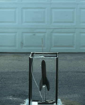 Daily Gifdump Daily Gifdump