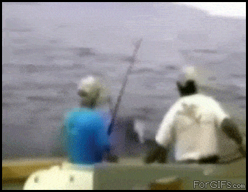 Daily Gifdump Daily Gifdump