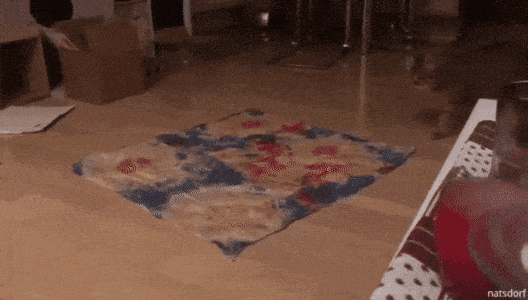 Daily Gifdump Daily Gifdump