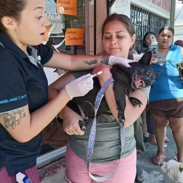 Daily Picdump Daily Picdump