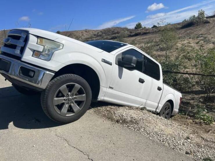 Daily Picdump Daily Picdump