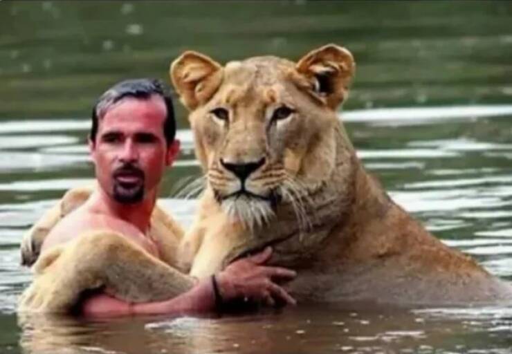 Daily Picdump Daily Picdump