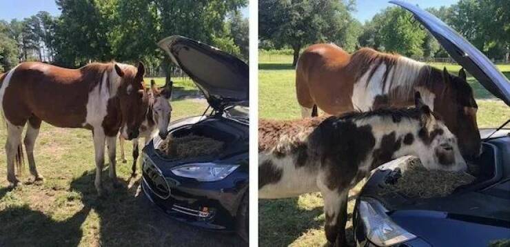 Daily Picdump Daily Picdump