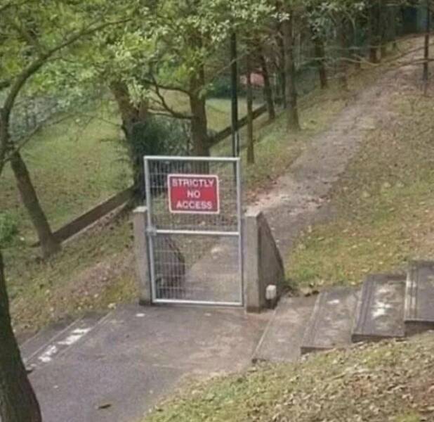 Daily Picdump Daily Picdump