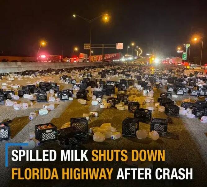 Daily Picdump Daily Picdump