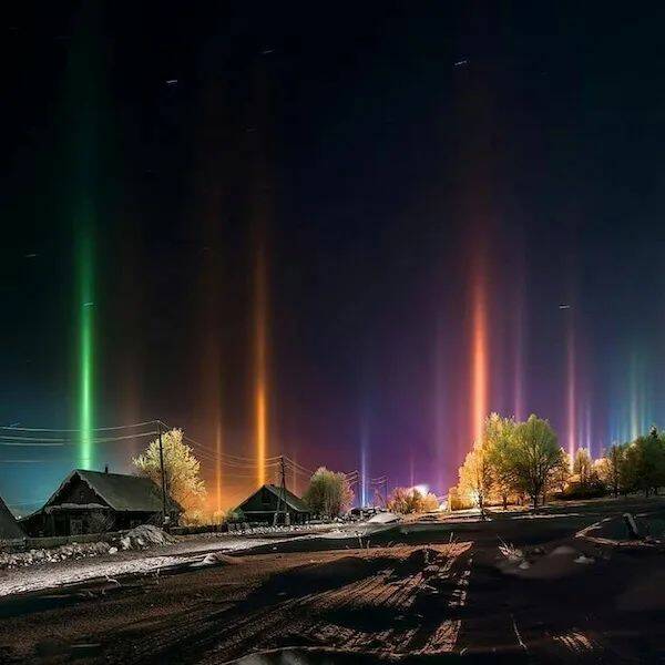 Daily Picdump Daily Picdump