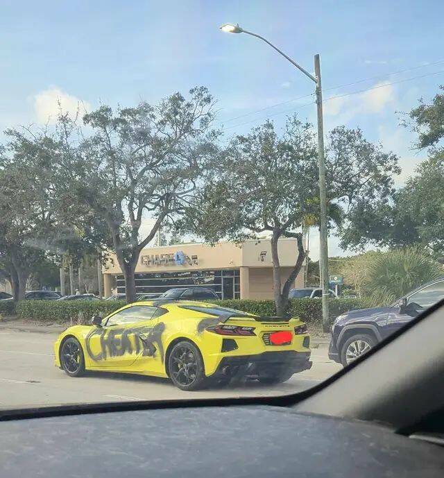 Daily Picdump Daily Picdump