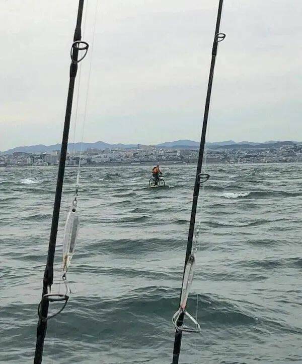 Daily Picdump Daily Picdump