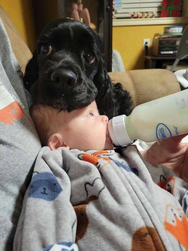 Daily Picdump Daily Picdump