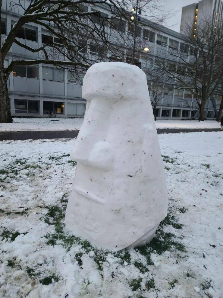 Daily Picdump Daily Picdump