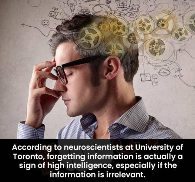 Morning Picdump Morning Picdump