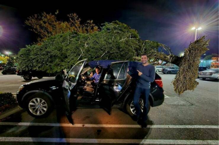 Morning Picdump Morning Picdump