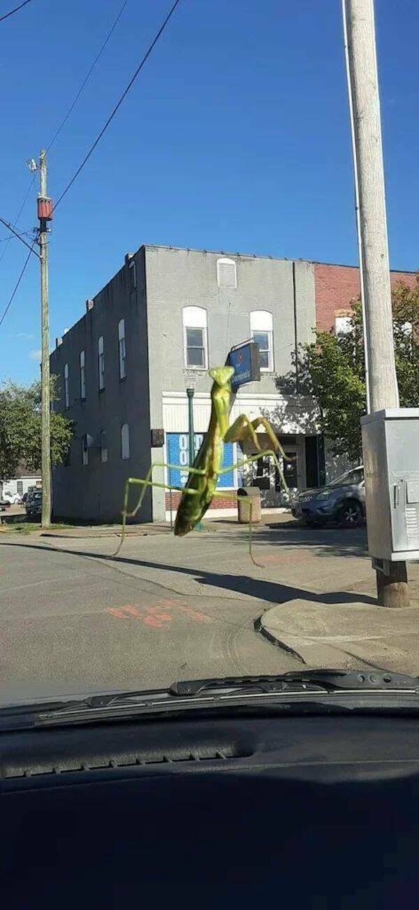 Photos That Make You Look Twice