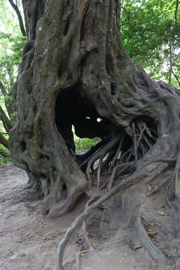 Photos That Make You Look Twice