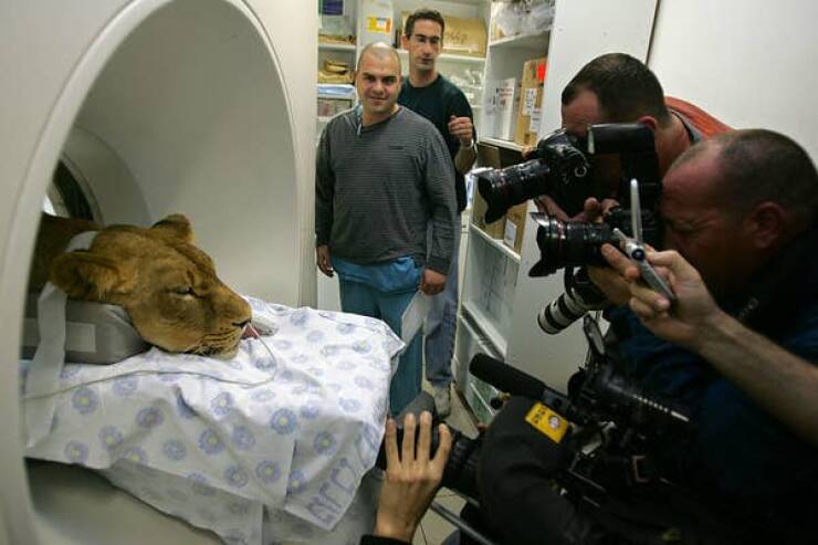 Rare And Fascinating Photos You Have To See