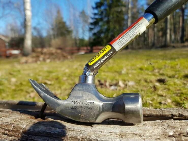 When High Hopes Met Low-Quality Disasters