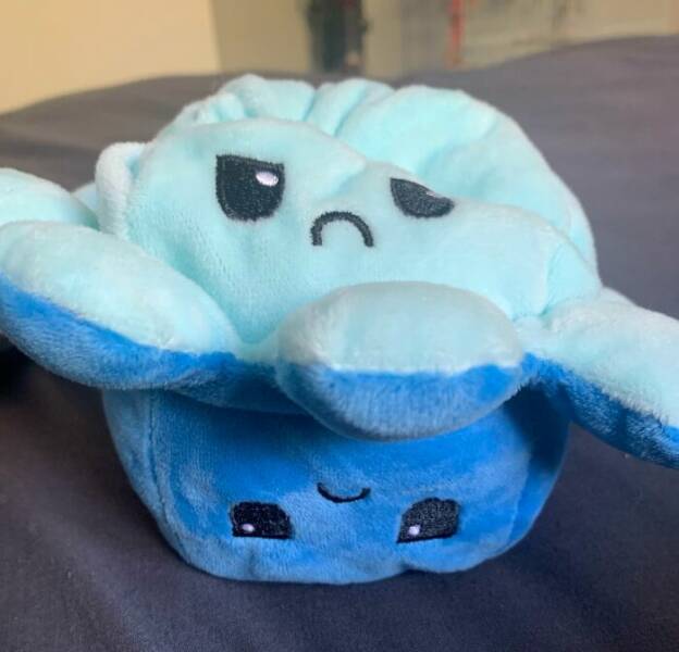 When High Hopes Met Low-Quality Disasters