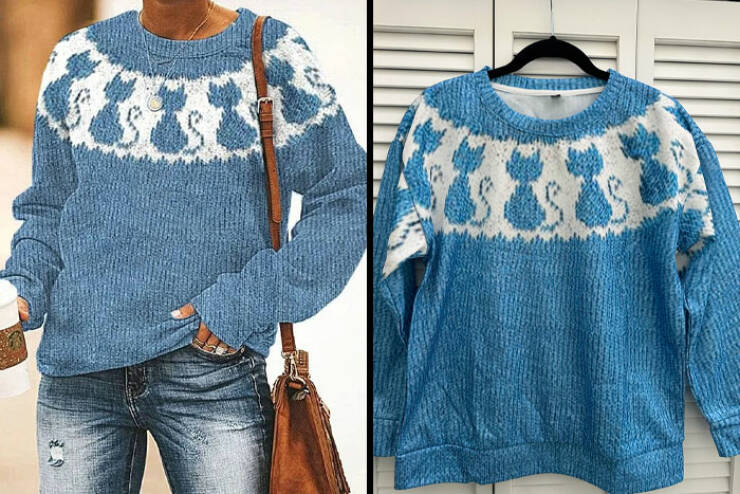 When High Hopes Met Low-Quality Disasters