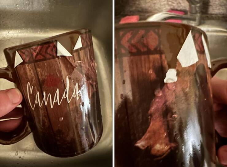 When High Hopes Met Low-Quality Disasters