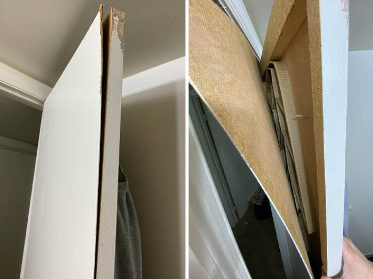 When High Hopes Met Low-Quality Disasters