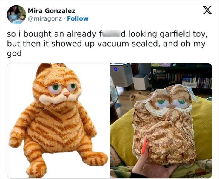 When High Hopes Met Low-Quality Disasters