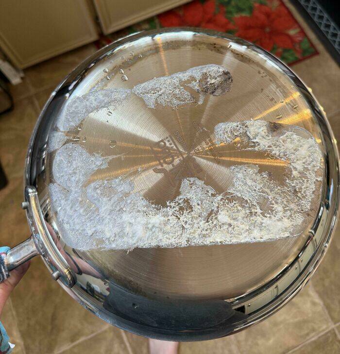 When High Hopes Met Low-Quality Disasters