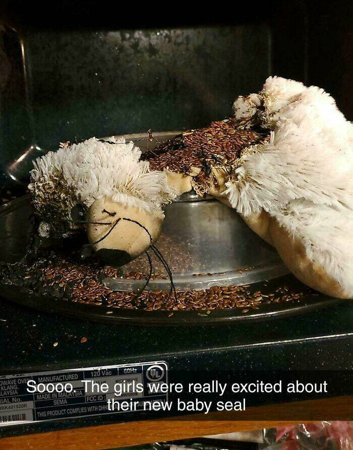 When High Hopes Met Low-Quality Disasters