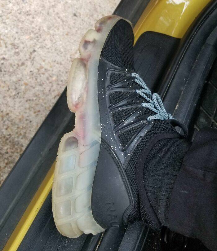 When High Hopes Met Low-Quality Disasters