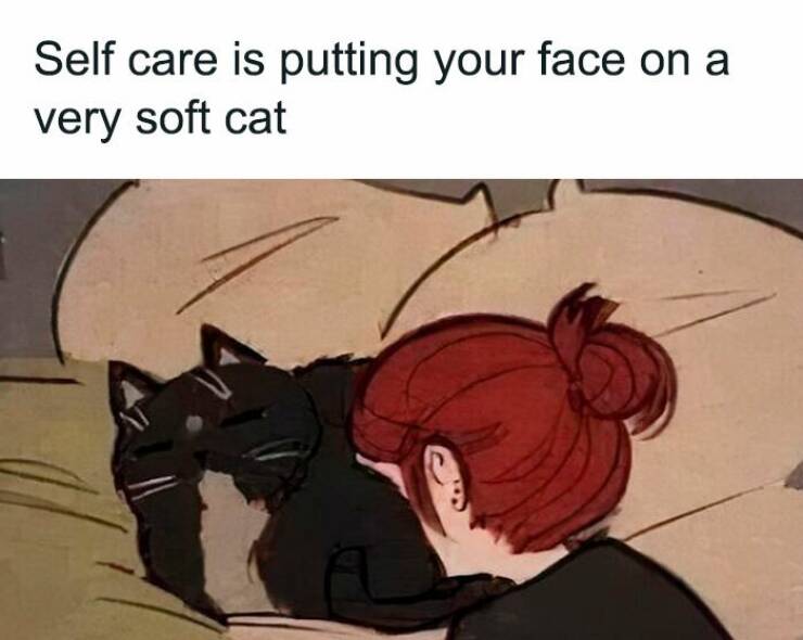Cat Pics And Memes That Are Pure Comedy Gold