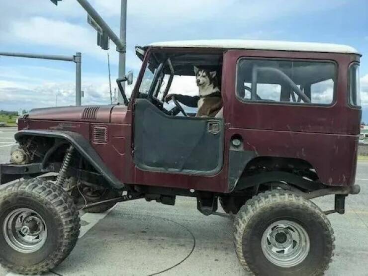 Daily Picdump
