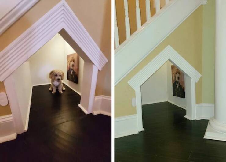 Daily Picdump