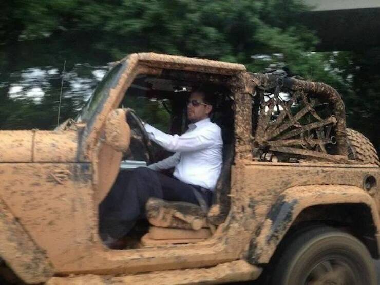 Daily Picdump