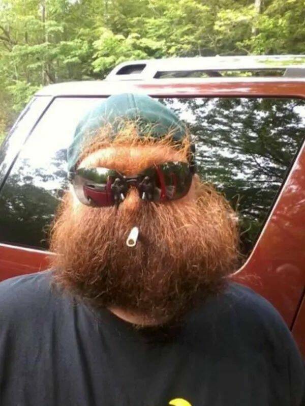 Daily Picdump