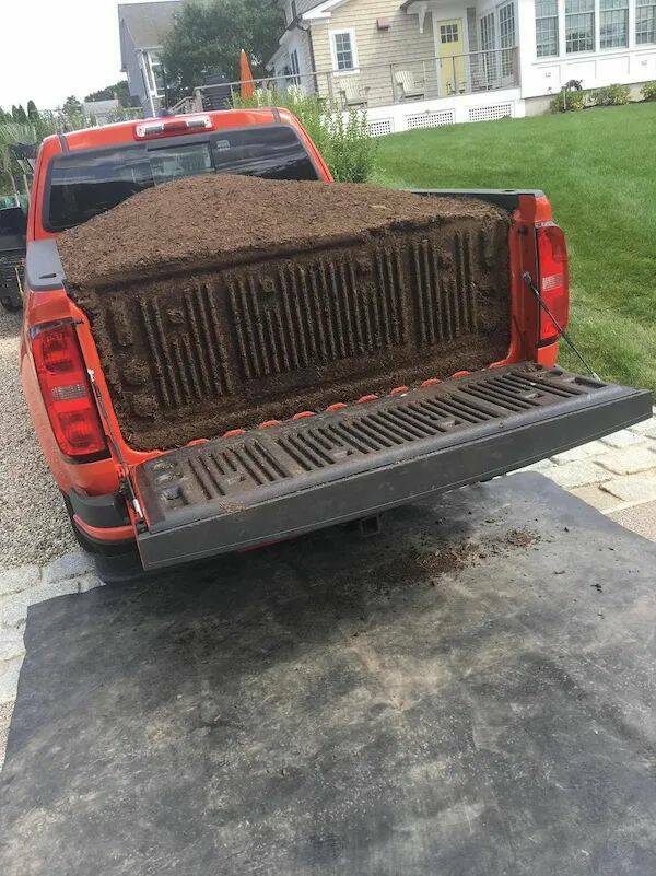 Daily Picdump