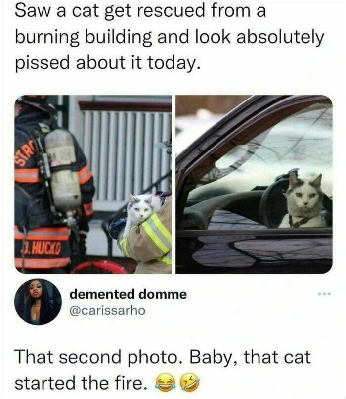 Memes That Perfectly Capture The Chaos Of Womanhood