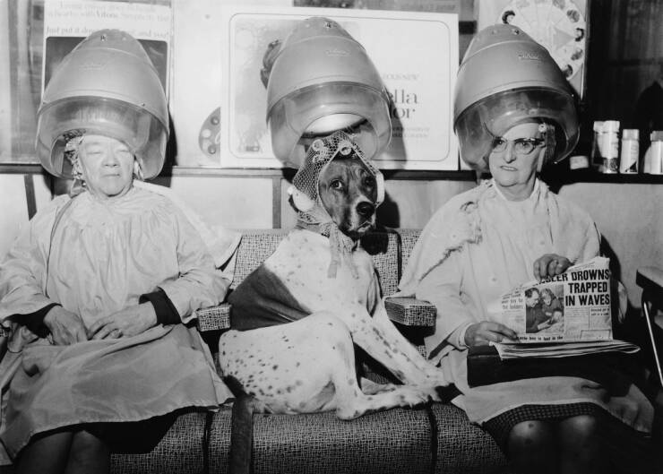 Morning Picdump