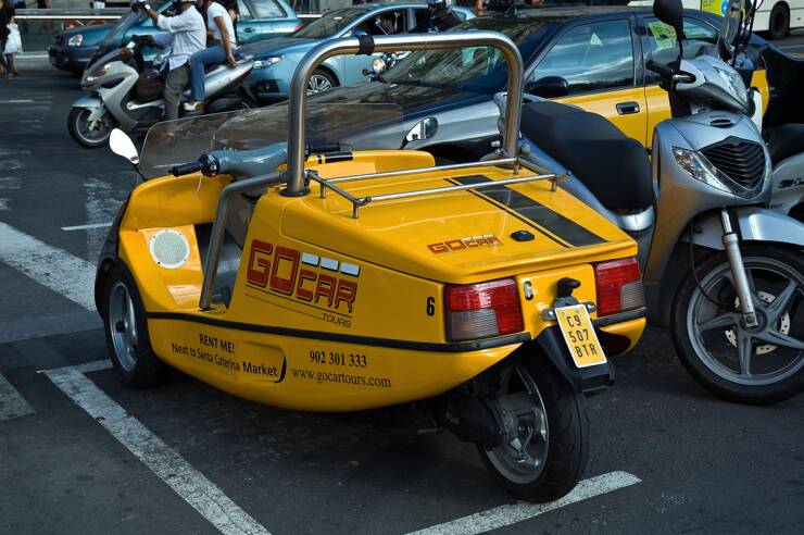 Morning Picdump