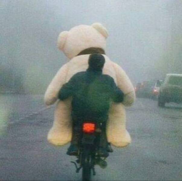 Morning Picdump