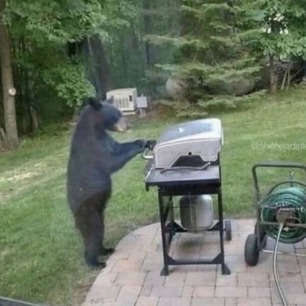 Morning Picdump Morning Picdump