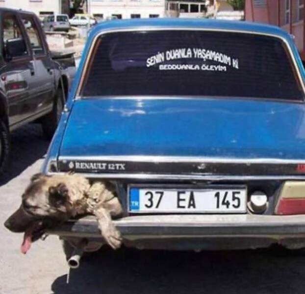 Morning Picdump Morning Picdump