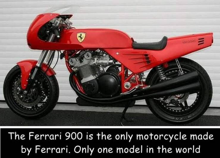 Morning Picdump Morning Picdump