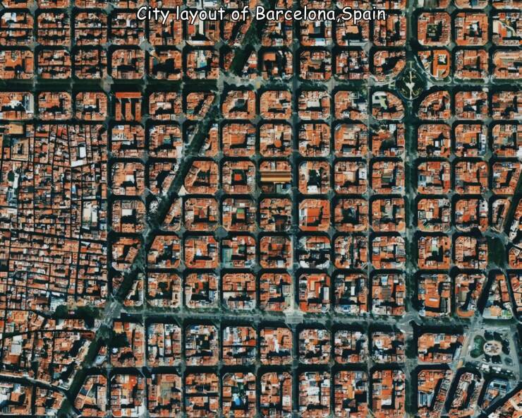 Morning Picdump Morning Picdump