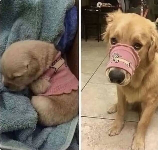 Morning Picdump Morning Picdump